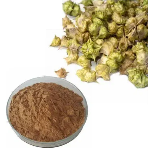 Tribulus terrestris plant extract and dried herb – natural prostate support botanical in Manjuba Caps